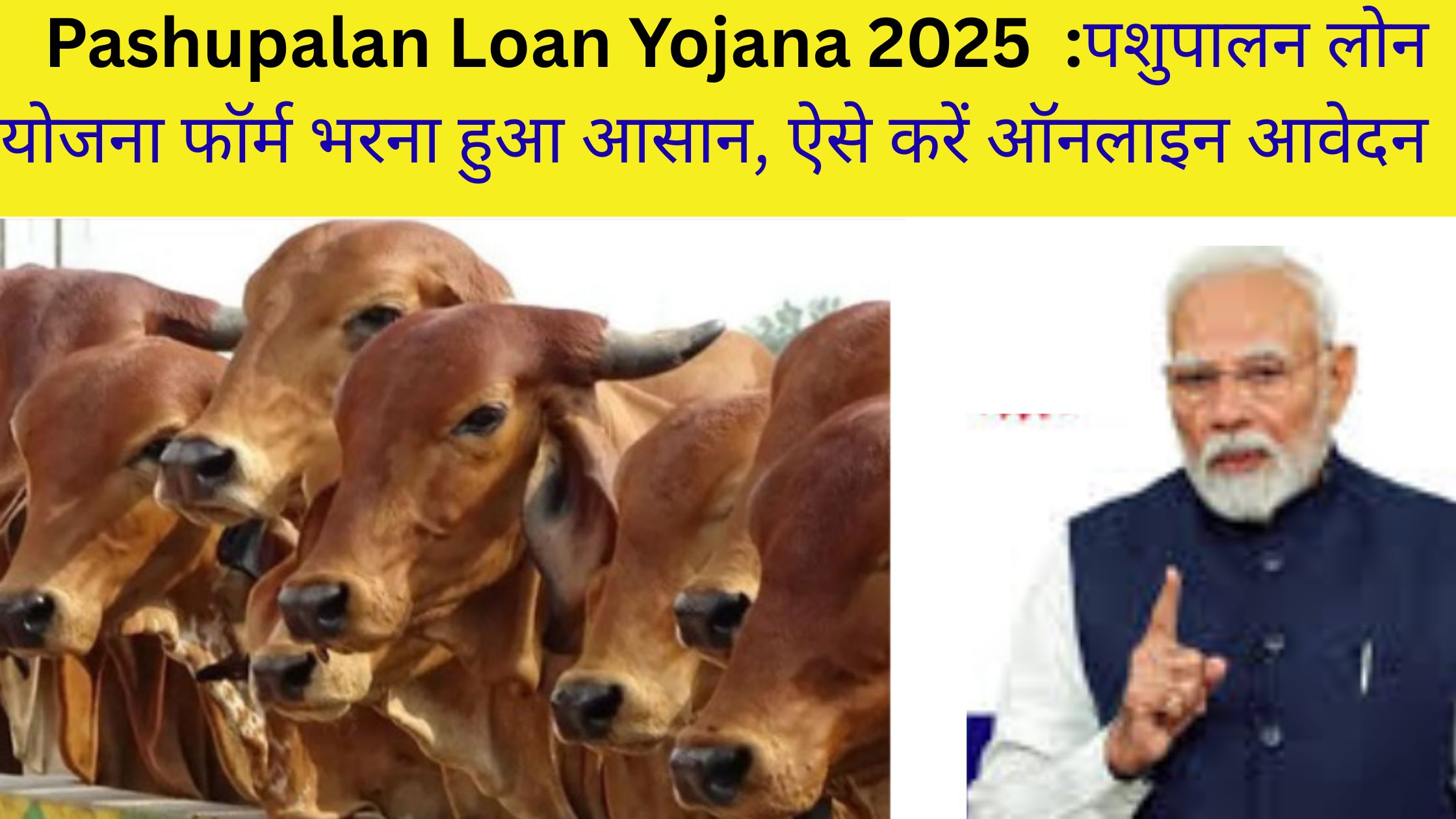 Pashupalan Loan Yojana 2025